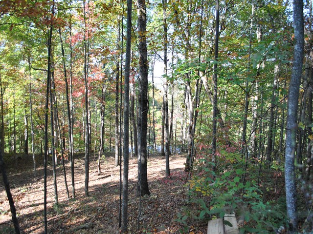 Image of Village Club Trail, Lot V-26